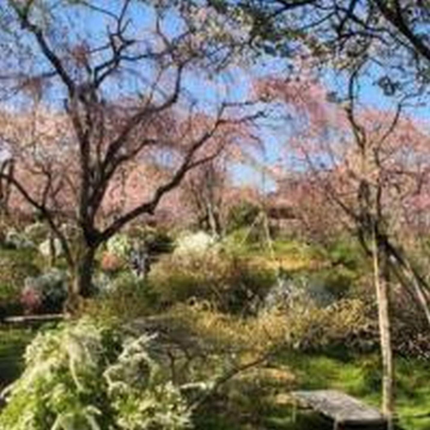 דירות אוסקה むつみ庵此花601 מראה חיצוני תמונה